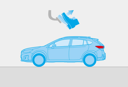 Auto Vehicle Hold